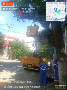 Cắt tỉa cây xanh